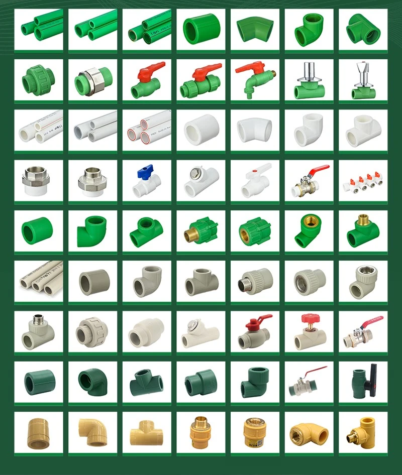 IFAN PPR Fittings