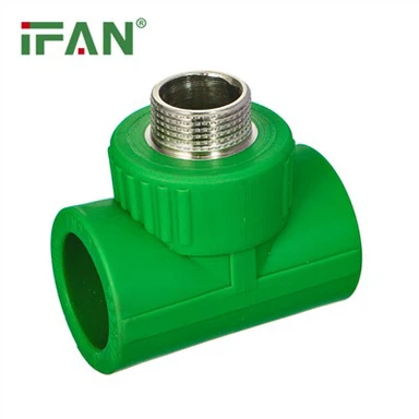 Chủ đề nam Tee PPR Lắp